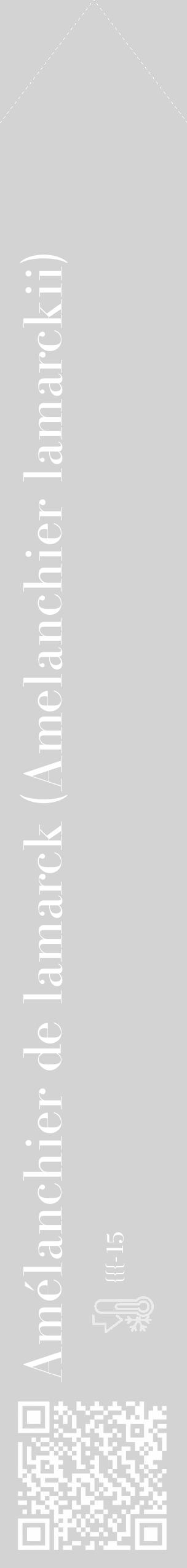 Étiquette de : Amelanchier lamarckii - format c - style blanche56_simple_simplebod avec qrcode et comestibilité - position verticale