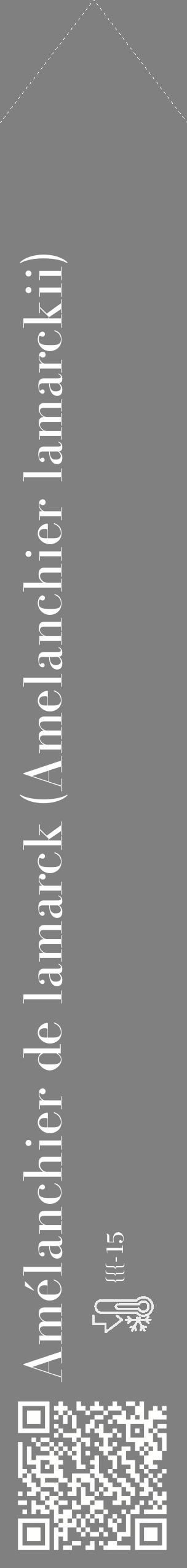 Étiquette de : Amelanchier lamarckii - format c - style blanche57_simple_simplebod avec qrcode et comestibilité - position verticale