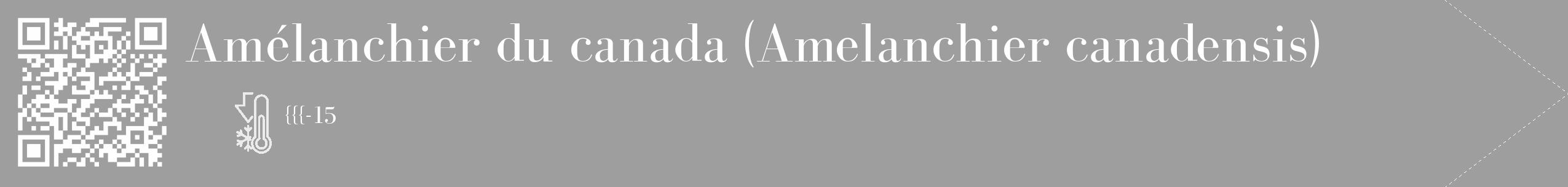 Étiquette de : Amelanchier canadensis - format c - style blanche42_simple_simplebod avec qrcode et comestibilité