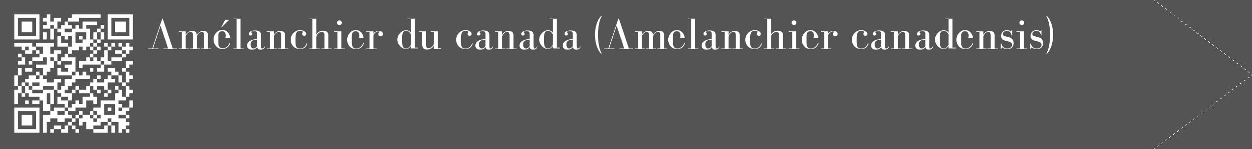 Étiquette de : Amelanchier canadensis - format c - style blanche30_simple_simplebod avec qrcode et comestibilité