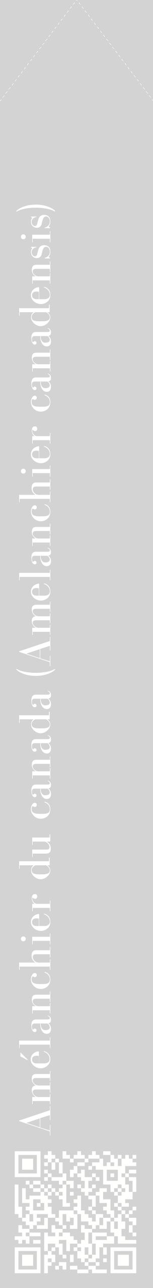 Étiquette de : Amelanchier canadensis - format c - style blanche56_simplebod avec qrcode et comestibilité