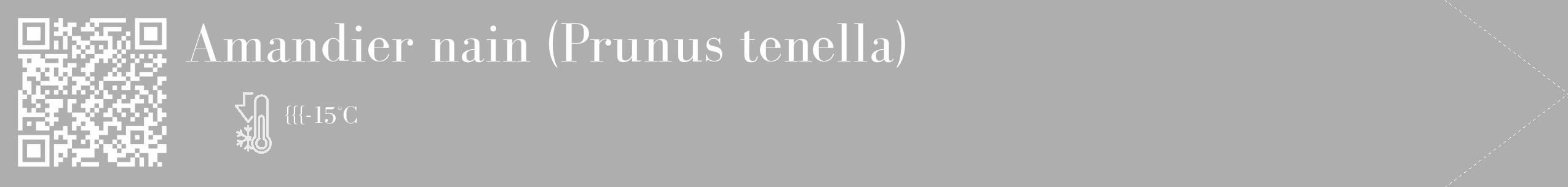 Étiquette de : Prunus tenella - format c - style blanche53_simple_simplebod avec qrcode et comestibilité