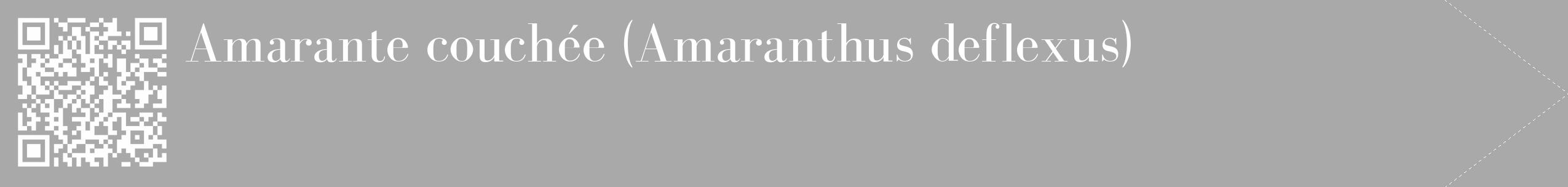 Étiquette de : Amaranthus deflexus - format c - style blanche13_simple_simplebod avec qrcode et comestibilité