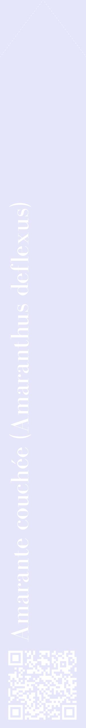 Étiquette de : Amaranthus deflexus - format c - style blanche55_simplebod avec qrcode et comestibilité