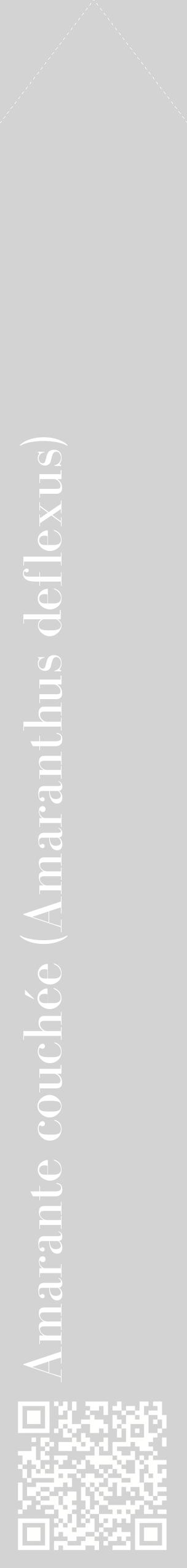 Étiquette de : Amaranthus deflexus - format c - style blanche56_simplebod avec qrcode et comestibilité