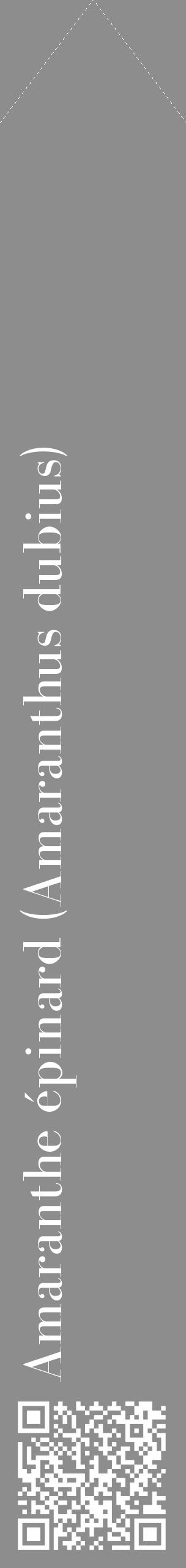 Étiquette de : Amaranthus dubius - format c - style blanche2_simple_simplebod avec qrcode et comestibilité - position verticale