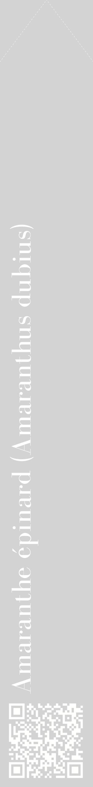 Étiquette de : Amaranthus dubius - format c - style blanche56_simplebod avec qrcode et comestibilité