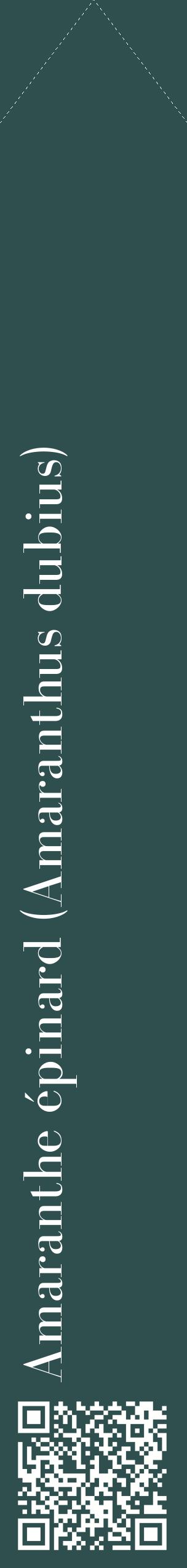 Étiquette de : Amaranthus dubius - format c - style blanche58_simplebod avec qrcode et comestibilité
