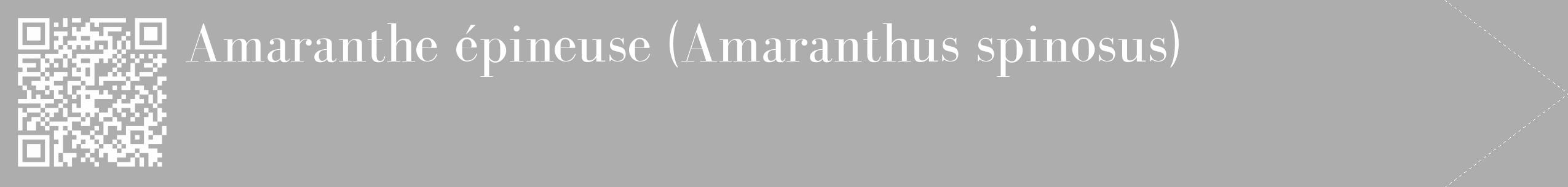 Étiquette de : Amaranthus spinosus - format c - style blanche22_simple_simplebod avec qrcode et comestibilité