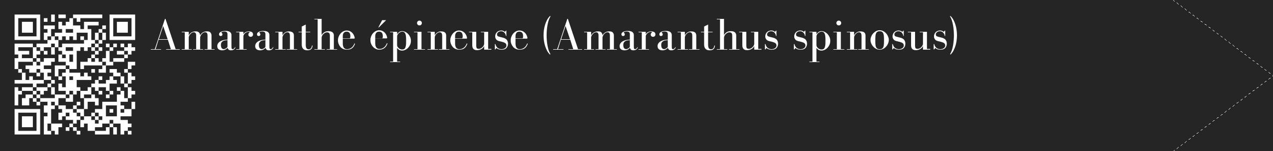 Étiquette de : Amaranthus spinosus - format c - style blanche47_simple_simplebod avec qrcode et comestibilité