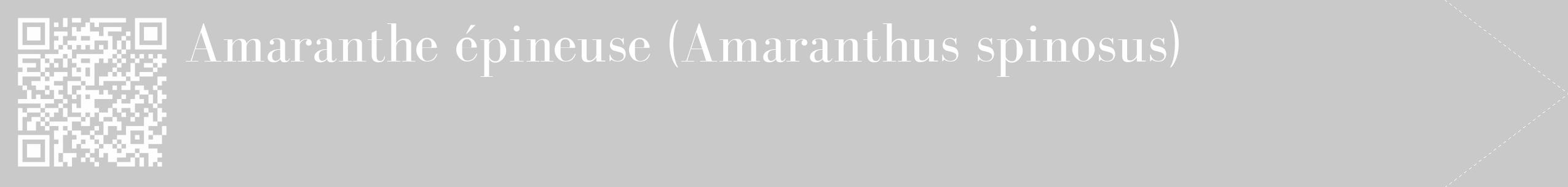 Étiquette de : Amaranthus spinosus - format c - style blanche54_simple_simplebod avec qrcode et comestibilité