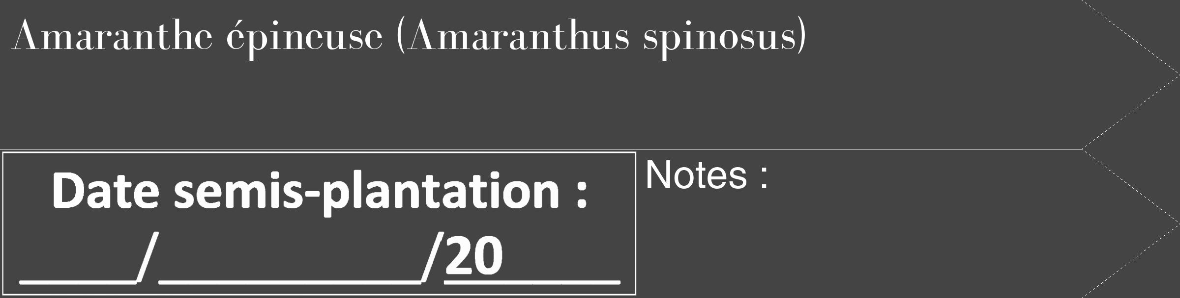 Étiquette de : Amaranthus spinosus - format c - style blanche48_simple_simplebod avec comestibilité