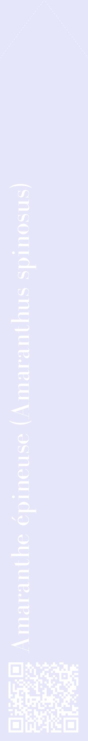 Étiquette de : Amaranthus spinosus - format c - style blanche55_simplebod avec qrcode et comestibilité