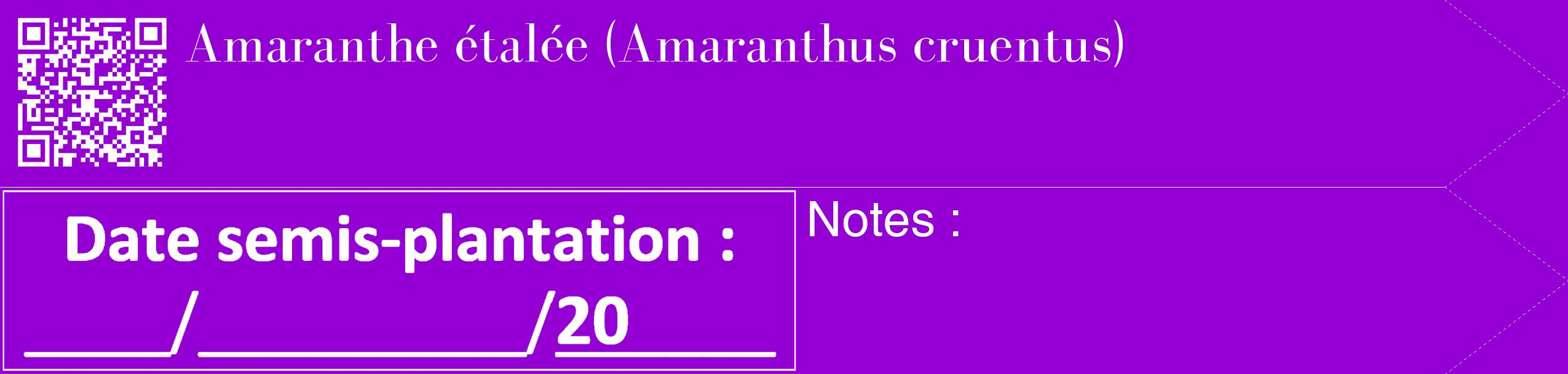 Étiquette de : Amaranthus cruentus - format c - style blanche48_simple_simplebod avec qrcode et comestibilité