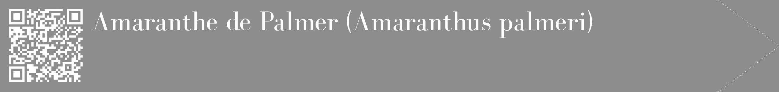 Étiquette de : Amaranthus palmeri - format c - style blanche2_simple_simplebod avec qrcode et comestibilité