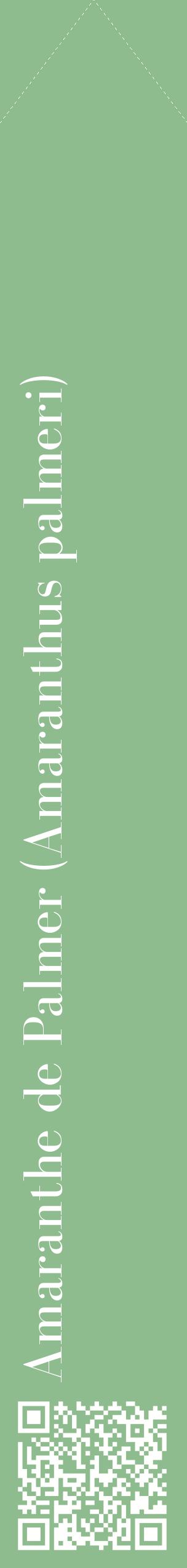 Étiquette de : Amaranthus palmeri - format c - style blanche13_simplebod avec qrcode et comestibilité