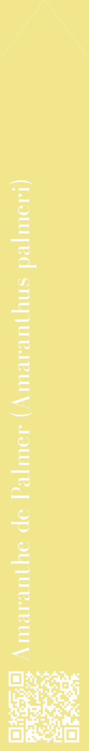 Étiquette de : Amaranthus palmeri - format c - style blanche20_simplebod avec qrcode et comestibilité