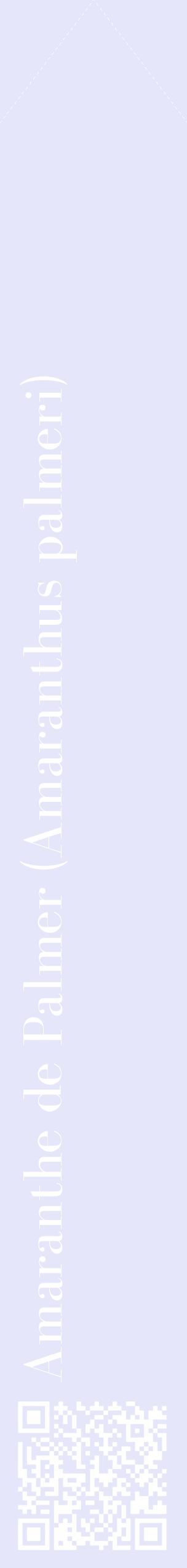 Étiquette de : Amaranthus palmeri - format c - style blanche55_simplebod avec qrcode et comestibilité