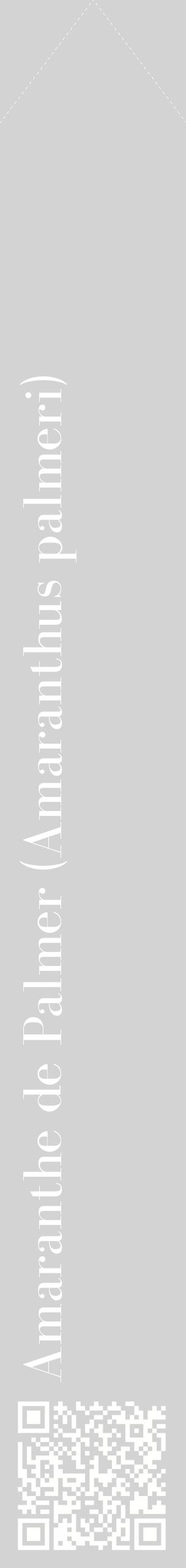 Étiquette de : Amaranthus palmeri - format c - style blanche56_simplebod avec qrcode et comestibilité