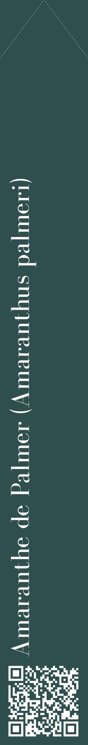 Étiquette de : Amaranthus palmeri - format c - style blanche58_simplebod avec qrcode et comestibilité