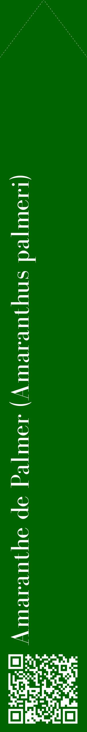 Étiquette de : Amaranthus palmeri - format c - style blanche8_simplebod avec qrcode et comestibilité