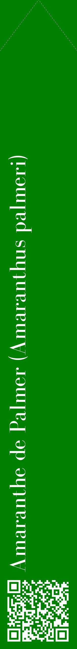 Étiquette de : Amaranthus palmeri - format c - style blanche9_simplebod avec qrcode et comestibilité