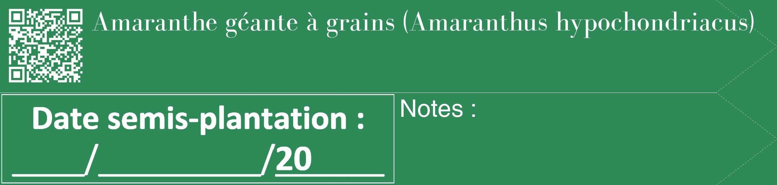 Étiquette de : Amaranthus hypochondriacus - format c - style blanche11_simple_simplebod avec qrcode et comestibilité