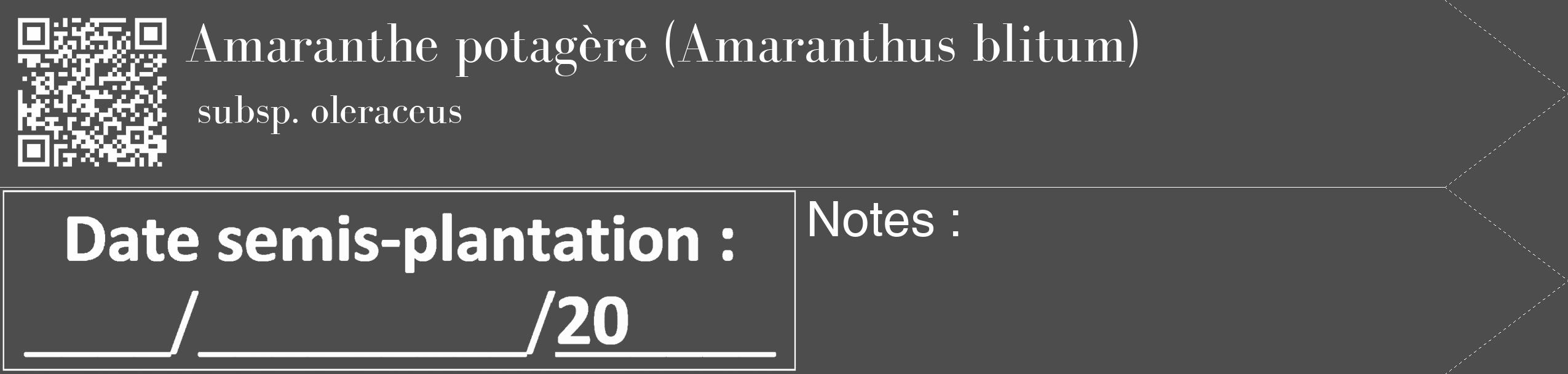 Étiquette de : Amaranthus blitum subsp. oleraceus - format c - style blanche28_simple_simplebod avec qrcode et comestibilité