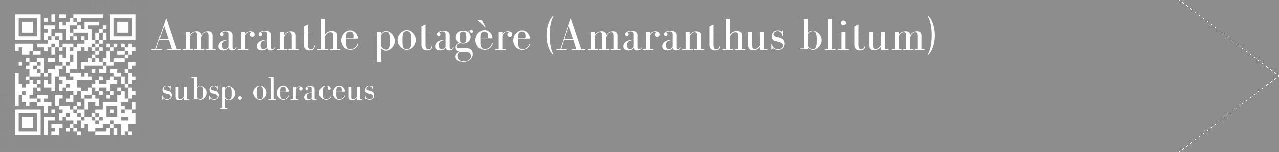 Étiquette de : Amaranthus blitum subsp. oleraceus - format c - style blanche2_simple_simplebod avec qrcode et comestibilité