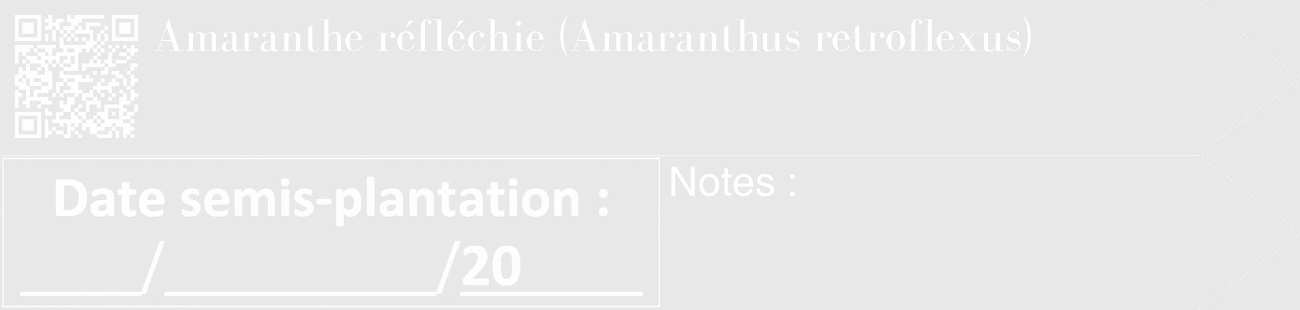 Étiquette de : Amaranthus retroflexus - format c - style blanche55_simple_simplebod avec qrcode et comestibilité