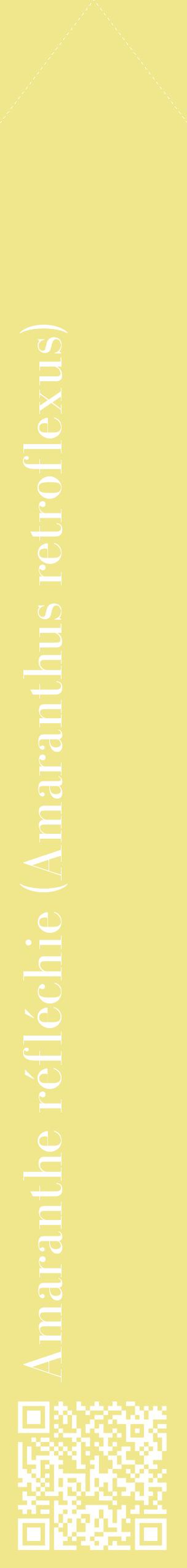 Étiquette de : Amaranthus retroflexus - format c - style blanche20_simplebod avec qrcode et comestibilité