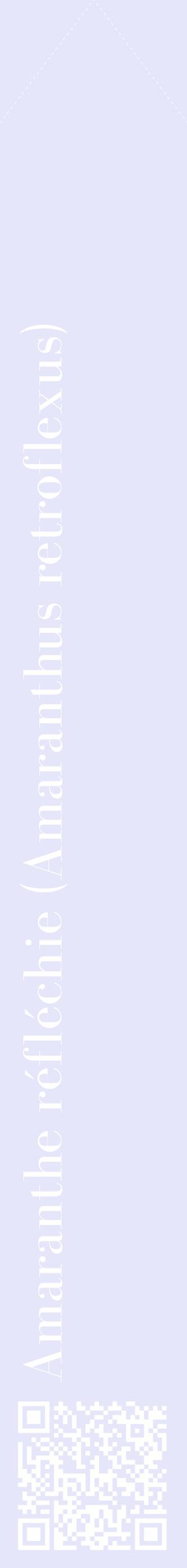 Étiquette de : Amaranthus retroflexus - format c - style blanche55_simplebod avec qrcode et comestibilité