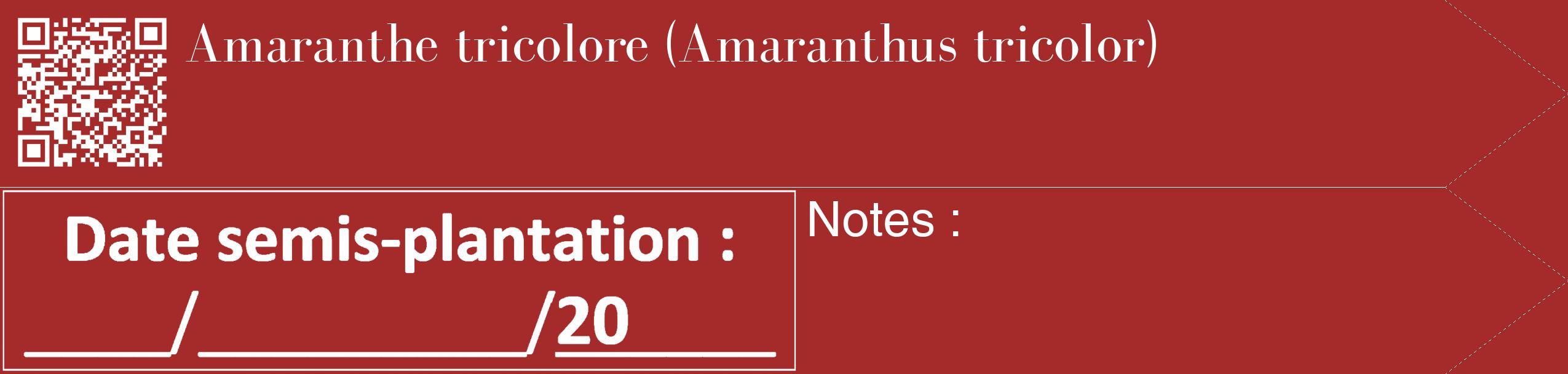 Étiquette de : Amaranthus tricolor - format c - style blanche33_simple_simplebod avec qrcode et comestibilité
