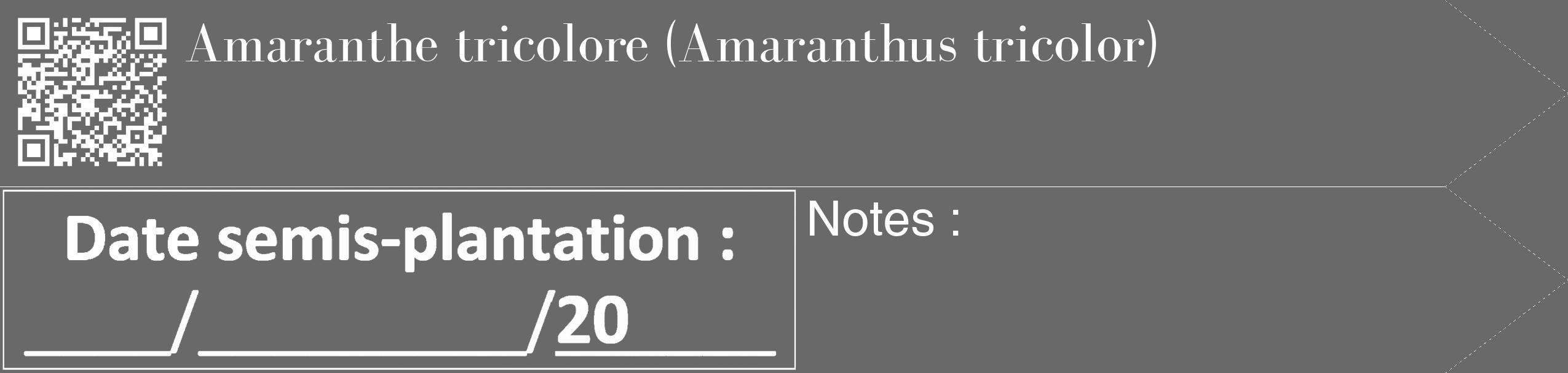 Étiquette de : Amaranthus tricolor - format c - style blanche51_simple_simplebod avec qrcode et comestibilité