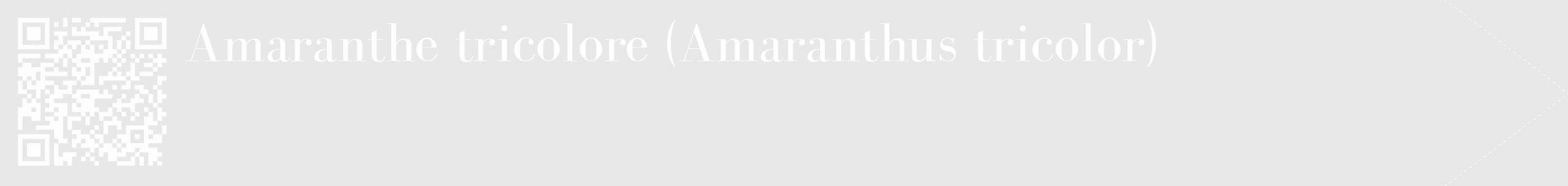 Étiquette de : Amaranthus tricolor - format c - style blanche55_simple_simplebod avec qrcode et comestibilité