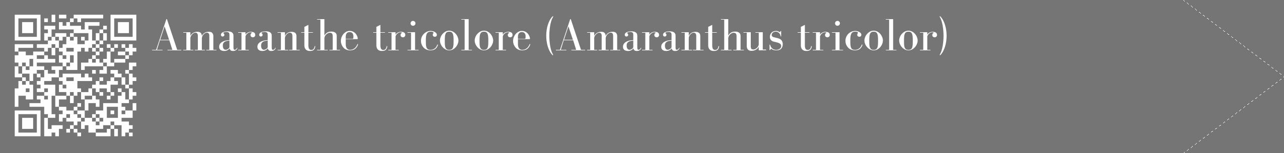 Étiquette de : Amaranthus tricolor - format c - style blanche5_simple_simplebod avec qrcode et comestibilité