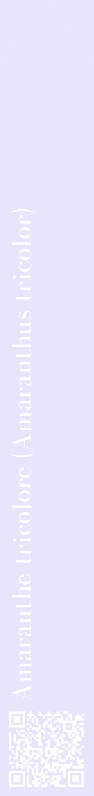 Étiquette de : Amaranthus tricolor - format c - style blanche55_simplebod avec qrcode et comestibilité