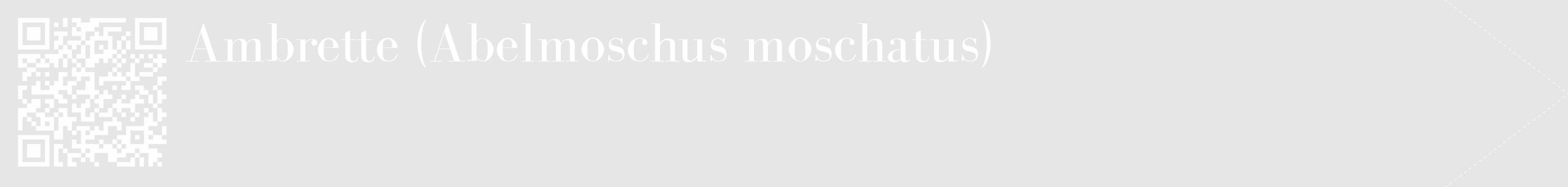 Étiquette de : Abelmoschus moschatus - format c - style blanche18_simple_simplebod avec qrcode et comestibilité