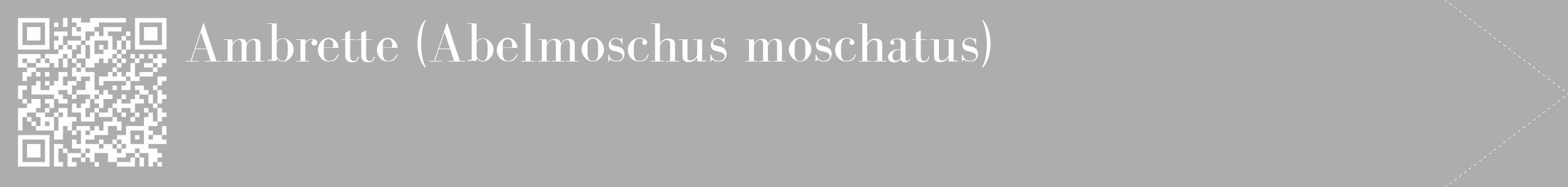 Étiquette de : Abelmoschus moschatus - format c - style blanche22_simple_simplebod avec qrcode et comestibilité