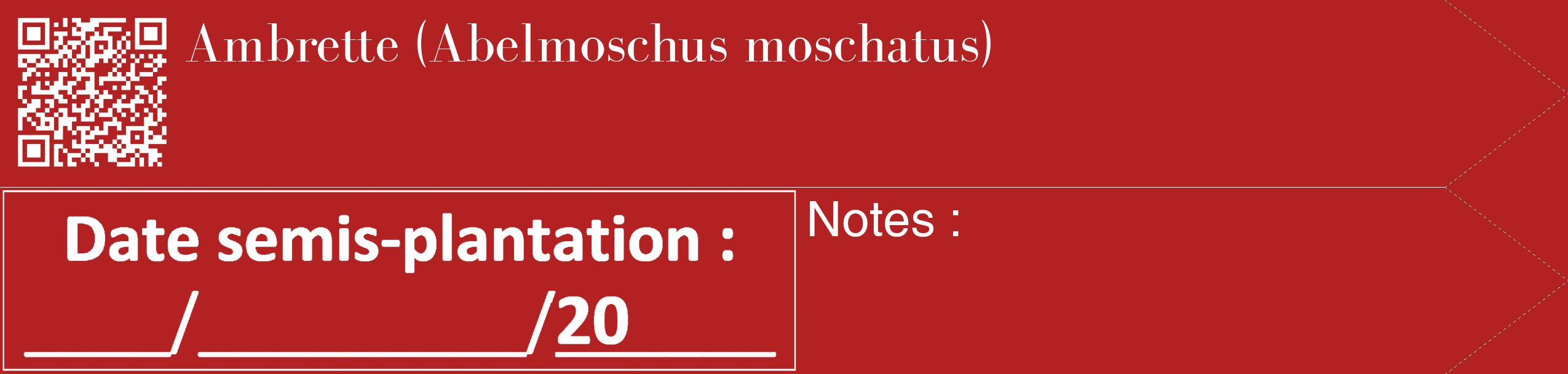 Étiquette de : Abelmoschus moschatus - format c - style blanche28_simple_simplebod avec qrcode et comestibilité