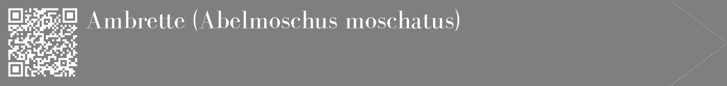Étiquette de : Abelmoschus moschatus - format c - style blanche31_simple_simplebod avec qrcode et comestibilité