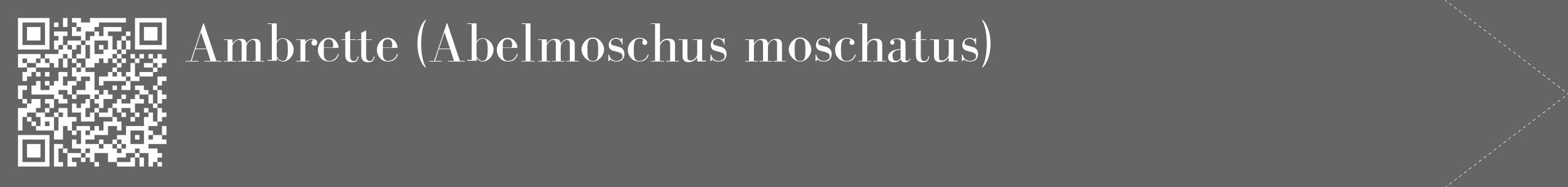 Étiquette de : Abelmoschus moschatus - format c - style blanche32_simple_simplebod avec qrcode et comestibilité