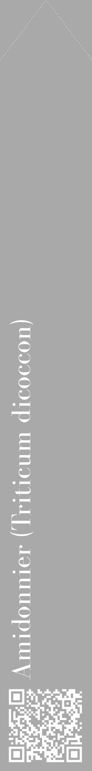 Étiquette de : Triticum dicoccon - format c - style blanche13_simple_simplebod avec qrcode et comestibilité - position verticale