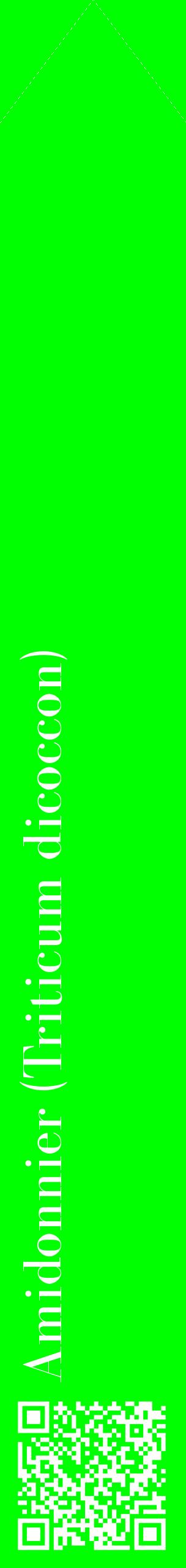 Étiquette de : Triticum dicoccon - format c - style blanche16_simplebod avec qrcode et comestibilité