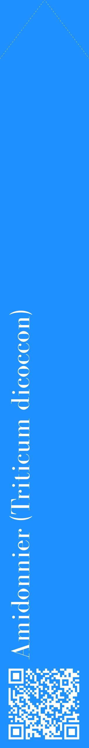 Étiquette de : Triticum dicoccon - format c - style blanche3_simplebod avec qrcode et comestibilité