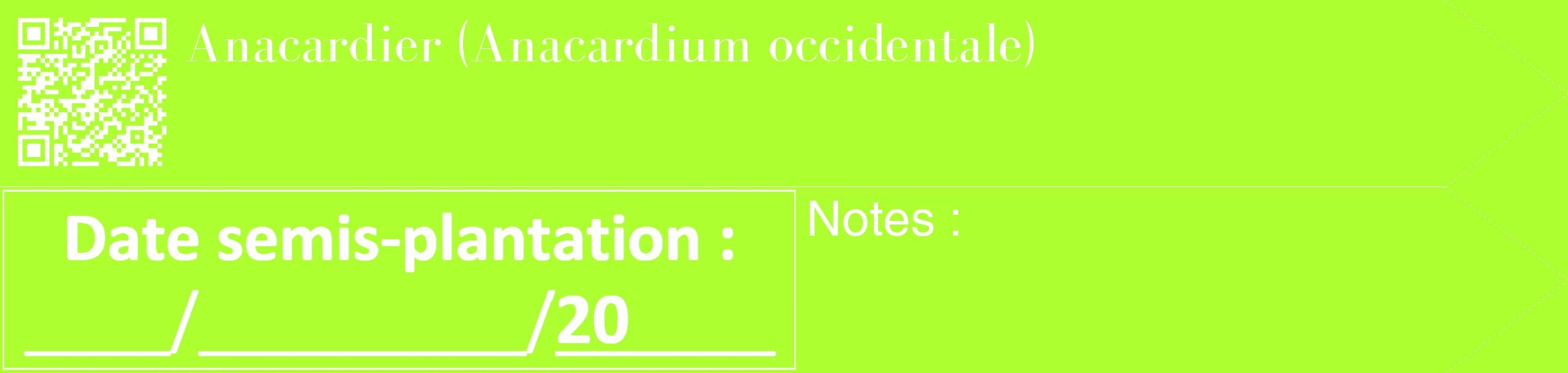 Étiquette de : Anacardium occidentale - format c - style blanche17_simple_simplebod avec qrcode et comestibilité