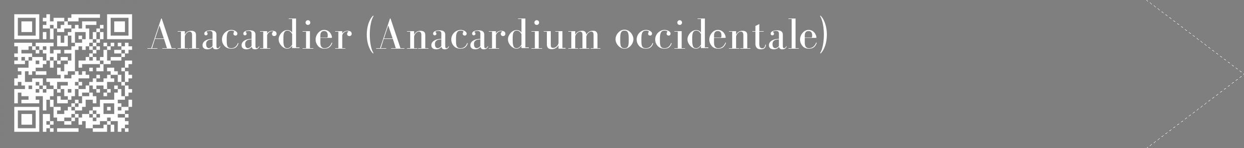 Étiquette de : Anacardium occidentale - format c - style blanche31_simple_simplebod avec qrcode et comestibilité