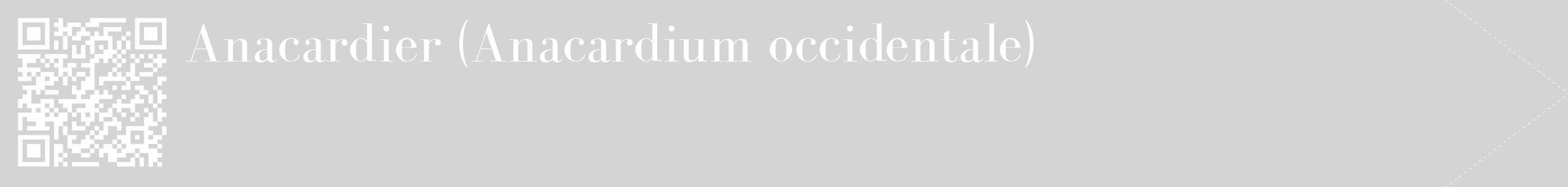 Étiquette de : Anacardium occidentale - format c - style blanche40_simple_simplebod avec qrcode et comestibilité