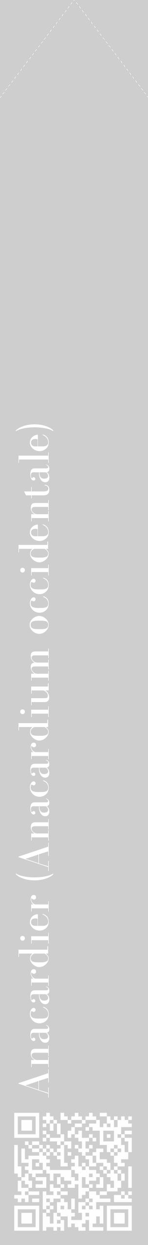 Étiquette de : Anacardium occidentale - format c - style blanche17_simple_simplebod avec qrcode et comestibilité - position verticale