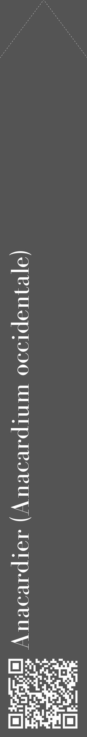 Étiquette de : Anacardium occidentale - format c - style blanche30_simple_simplebod avec qrcode et comestibilité - position verticale